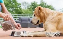 适合喂养大型犬的狗粮，大型犬狗粮选择