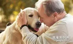 怎样让狗狗安度晚年？