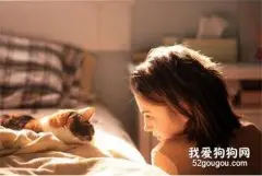 猫不爱主人只爱自己同类是真的吗？