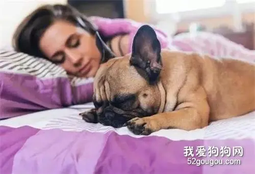 为什么狗狗喜欢和主人睡在一起呢？