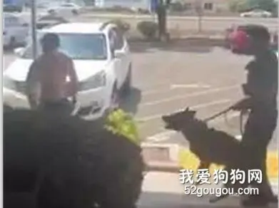 男子闹事威胁要杀“警犬”，然后就被警犬一秒制服...