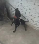 狗子抄起铁铲练就了一身功夫：一定跟猴哥见过世面！