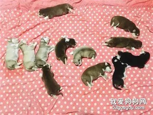 这家注定是保不住了~