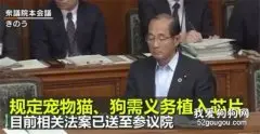 日本的这项动保新规，引国内网友热议：强烈建议我国推广！