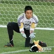 网友把足球p成猫之后，哈哈哈，第一张就笑疯了...