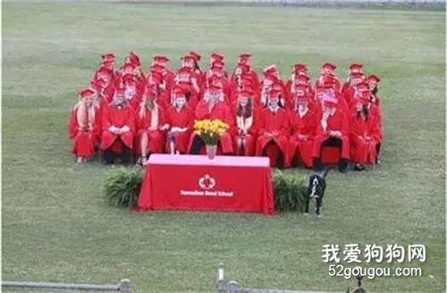 这狗竟然跑到主人的毕业典礼上，对着花盆“解放”……