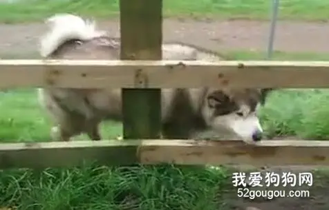 对于一个胖子而言，比身体小的夹缝都是不应该存在的！