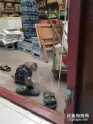 猫的耳朵上突然挂了一根绳子，它以为被绑住了，一动不敢动！