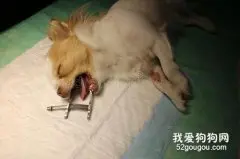 呼吸麻醉和注射麻醉有什么区别 ?