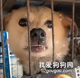 在美食中逐渐迷失自我……