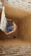 一只猫掉进井里，网友好心拿梯子下去救她，结果...