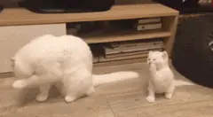 大猫在洗脸，一旁的小猫看到后，竟然....