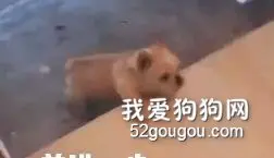 选择和努力一样重要！确定方向，昂首阔步！