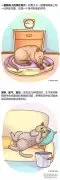 家里宠物生病的14种症状！（内附生动图片）