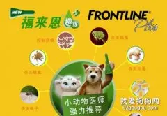 福来恩滴剂使用方法及用量
