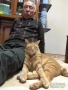 自从爷爷养了猫后，他俩的姿势都几乎同步了，这画面好有爱！