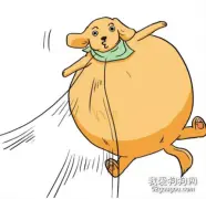小狗胃胀气会威协性命？
