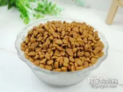 狗粮怎么看好坏 这四招你一定要知道！