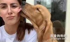 狗子舔了下女子的脸，女子也想回礼亲它一下，结果竟被一脸拒绝！