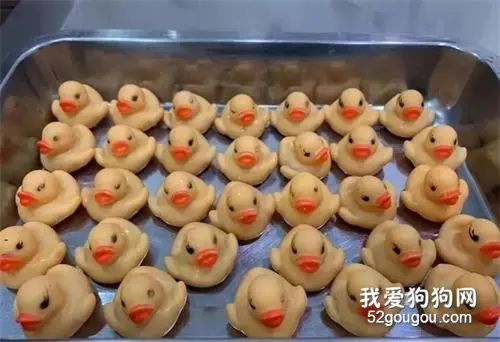 以为狗砸只是误吞了两小黄鸭，可检查发现，这货偷吃了一整窝！
