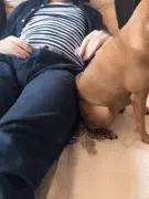 狗子喜欢跟主人靠在一起，主人稍微挪开下，它的反应好妖娆！