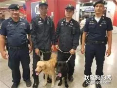 搜爆犬紧盯塑料袋，路人以为要炸，惊慌失措之际...