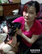 让奶奶养了一年的黑柴彻底沦陷为肥柴