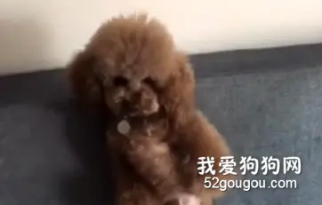 麻麻会使用降龙十八掌，吓得六一都走光啦~