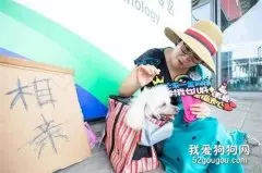 上海大妈带狗相亲，对狗女婿要求高，亲女儿嫁出去就行