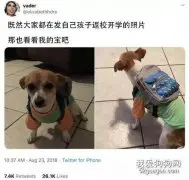 看到大家都在晒孩子返校的照片，一位主人坐不住了……