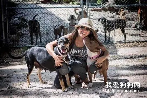 超强飓风来袭，她收留97只流浪狗，和79只狗睡同一间卧室！