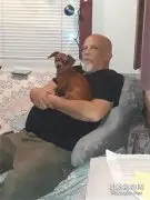狗子突然不愿意离开主人，隔天一早，意外就发生了！