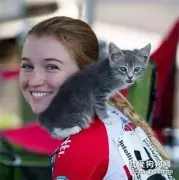 “自己的铲屎官自己找 ” 小流浪猫看到美女赖着不走了