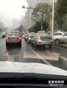 女子把小狗扔在雨中打车离开，小狗奋力追赶：“为什么不要我了？”