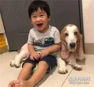 狗子被50枚硬币围着，只要不动就有肉吃，它竟然乖乖配合着！