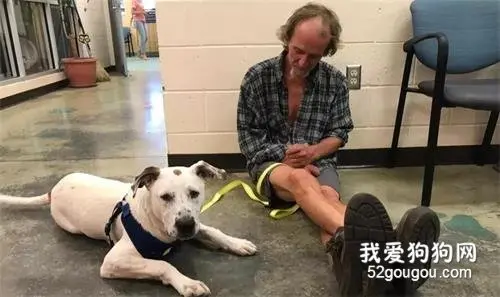 流浪汉倾尽所有也要找到爱犬，而重逢的这一幕真的超泪目...