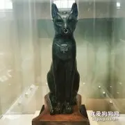 埃及猫有什么传说 埃及猫的传说介绍