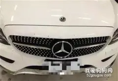 二哈活撕邻居大奔，手法还很有艺术感，主人哭了
