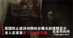 狗子被“挂”在车尾一脸懵，交警：请驾驶员前来接受处置！