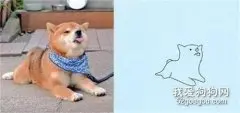 网友用简笔画来画狗狗，画风虽然沙雕，但却抓住了精髓！