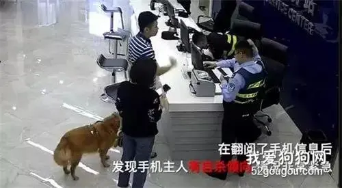 金毛翻出一封遗书，他们还发现...