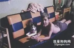 铲屎官晒二哈的成长对比照，可网友的注意力在沙发上...
