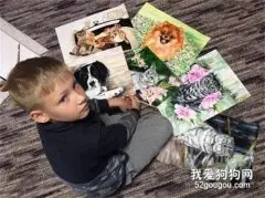 9岁男孩一幅油画能卖上千块，但这些钱，他却全都捐给流浪狗！