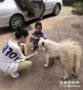 一饭之恩却让流浪狗追车千米，带去医院检查后哭了，可怜的孩子…