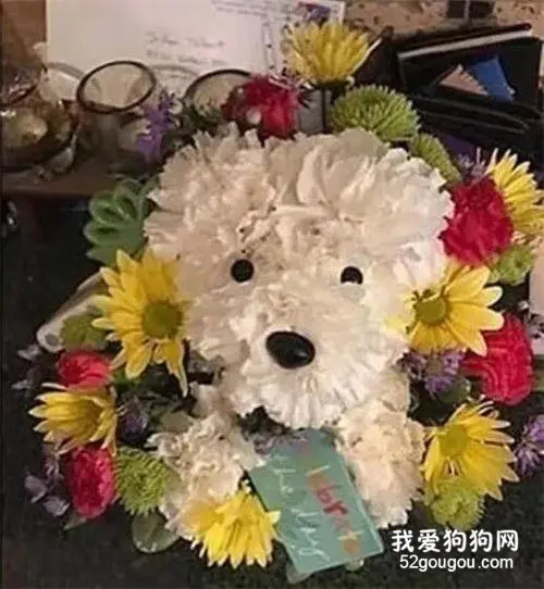 最暖男友！女朋友的爱犬去世，他送了这样一份礼物……