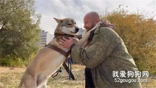 野狼被俄罗斯父女收养，长大后却被训得像只二哈，太没面子了！