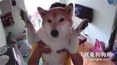 男朋友发消息说家里的监控坏了，她打开一看，瞬间就被暖到了！