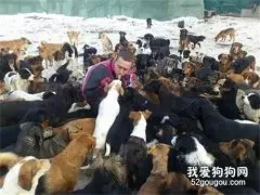男子养了4只小狗，结果一年后，竟然变成了750只！