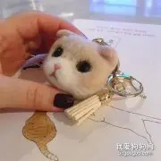 推主买了个猫头羊毛毡回来，猫看到后直接懵了，你这是要干啥？