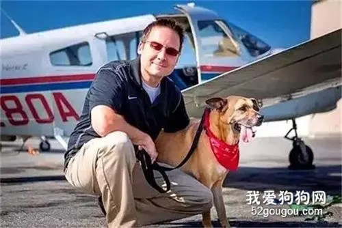 男子为了救狗狗，他特意买了一架飞机接送：我不后悔！